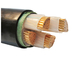 N2XY unarmoured Copper XLPE Copper Polypropylene Filler IEC 60502-1 IEC 60228 تامین کننده