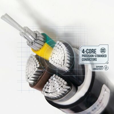 Waterproof Moisture Resistant PVC Insulated Cable 0.6/1kV 2 Core 2x4mm2 Outdoor Wet Area تامین کننده