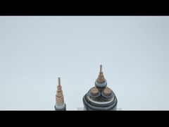 کابل برق زرهی پی وی سی مسی 600 ولت